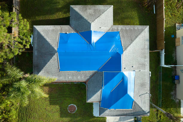 Best Roof Moss and Algae Removal  in New Britain, CT